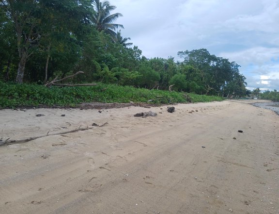 4?7 hectare beach property for sale in Roxas palawan