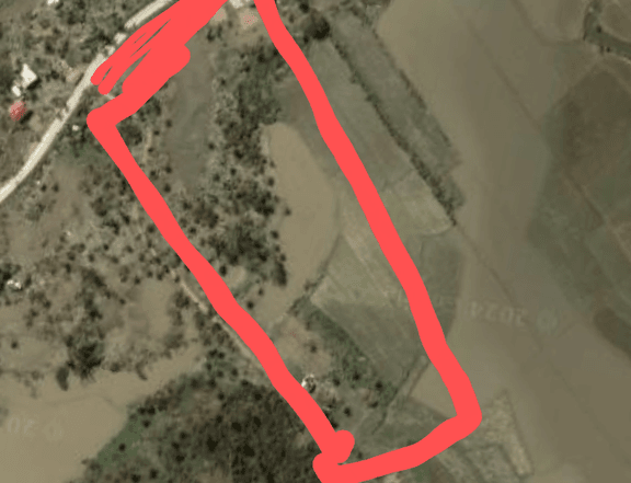 4.8 hectares Farm Lot For Sale in Roxas Palawan