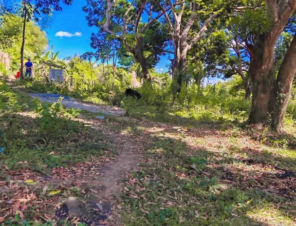For sale farmlot in Tandang Kutyo tanay Rizal