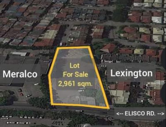 2,961 sqm Commercial Lot For Sale in Pasig