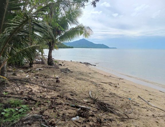 2 hectare beach property for sale in Roxas palawan