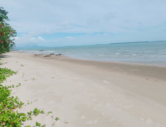 3,000 sqm Beach Front Property for Sale In Roxas Palawan