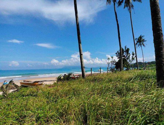 1.33 hectare beach property for sale in San Vicente palawan