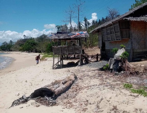 4 hectare Beach property overlooking for sale in Roxas palawan