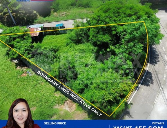 455 sqm Residential Lot For Sale in Muntinlupa