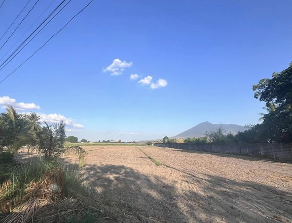 1 Hectare Farm Lot for Sale in Magalang, Pampanga (Near Clark!)