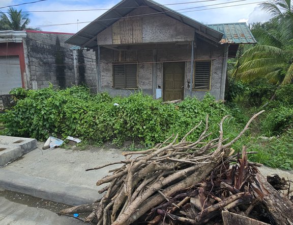 Along the road property, 2700 total sqm for Sale / Still Negotiable