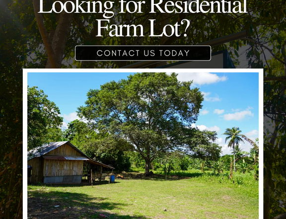 263 sqm Residential Farm For Sale in Indang Cavite