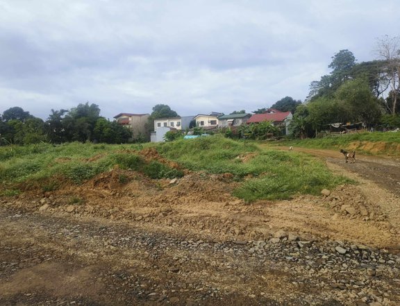 200sqm Residential lot for sale greenland newton executive village ampid san mateo Rizal