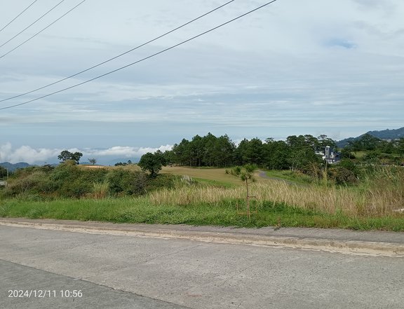 733SQM FAIRWAY INNER LOT FOR SALE IN PINEWOODS BAGUIO CITY