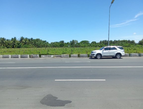 FOR SALE: PRIME LOT ALONG SARIAYA QUEZON ECO-TOURISM ROAD