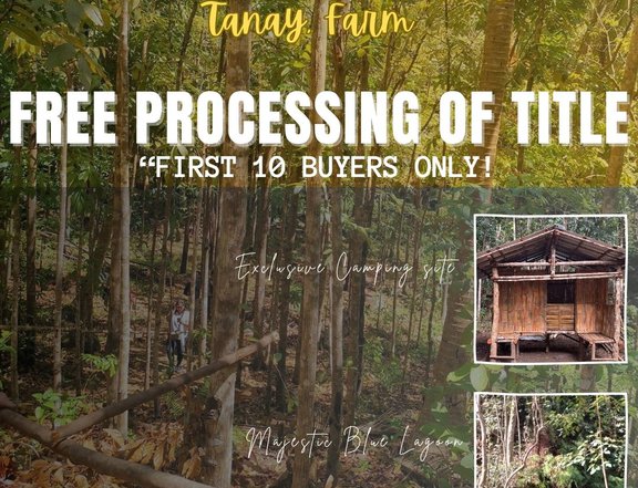 1,000 sqm Residential Farm For Sale in Tanay Rizal