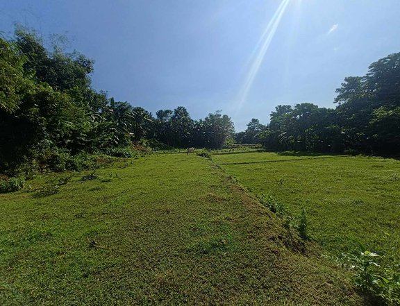 Lot for Sale in Sison, Pangasinan (Available for Installment)