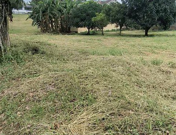 Royale Tagaytay Estates Lot for Sale