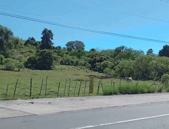 1 hectare Farm Lot For Sale in Mayantoc Tarlac