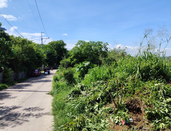 Direct to owner, malapit sa EVER rd in SJDM Bulacan