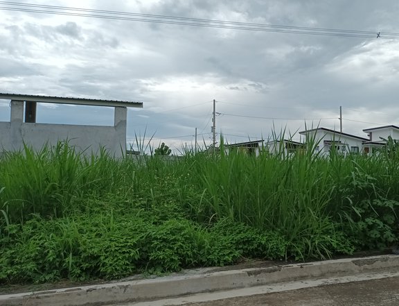 100sqm Residential Lot for Sale in Sto. Tomas Batangas