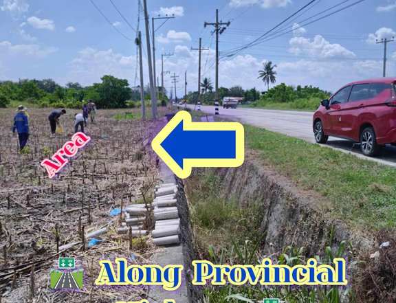 LOT FOR SALE ALONG PROVINCIAL HIGHWAY