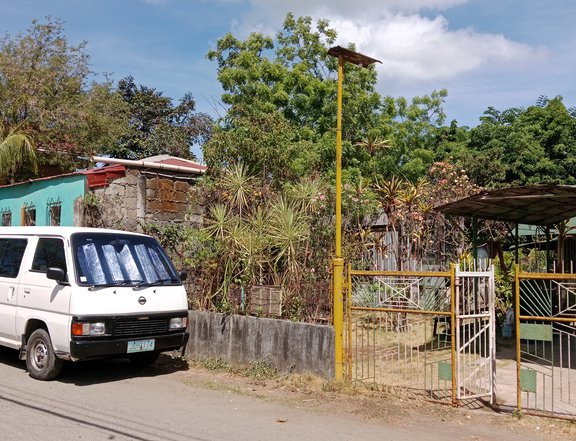 Rush Sale of Clean Titled Lot in Cordova, Cebu very near CCLEX.