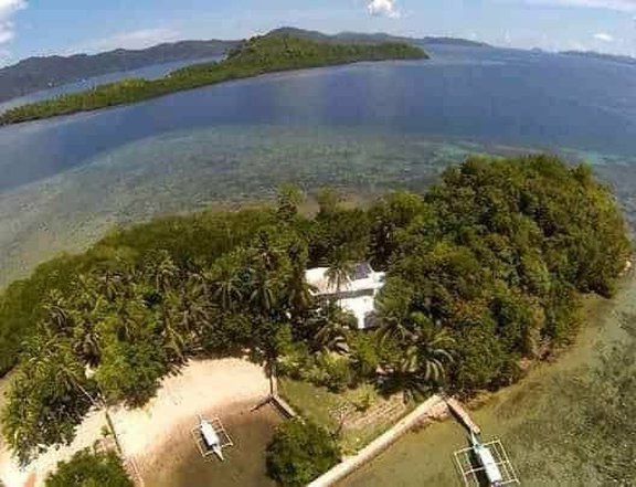 Ready For Occupancy 2 hectares Beach Property For Sale in San Vicente Palawan