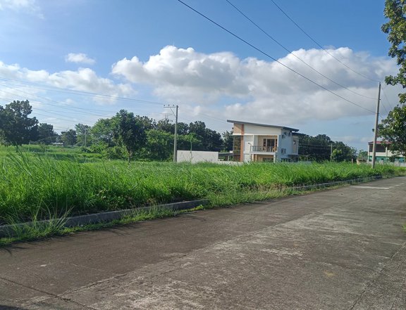 150sqm Residential Lot, in an Exclusive Subdivision in Tanauan Bats.