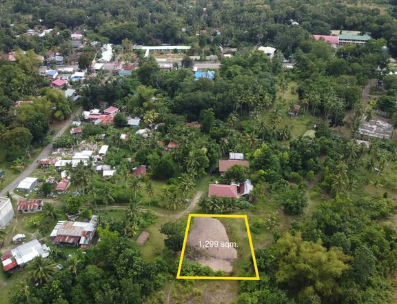 Titled Lot For Sale in Biking, Dauis, Bohol