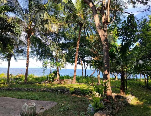 98 sqm Beach Lot - Corner lot For Sale In Alcoy Cebu