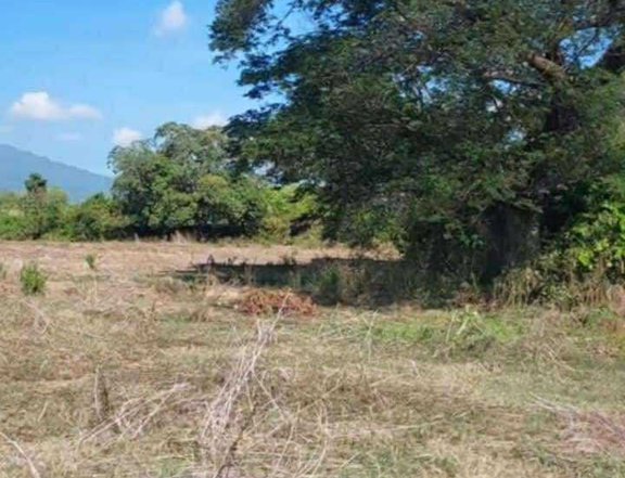 Farmlot for Sale in Abucay Bataan