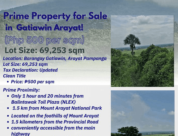 6.93 hectares Raw Land For Sale in Arayat Pampanga