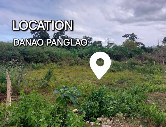 Lot For Sale in Danao Panglao Bohol
