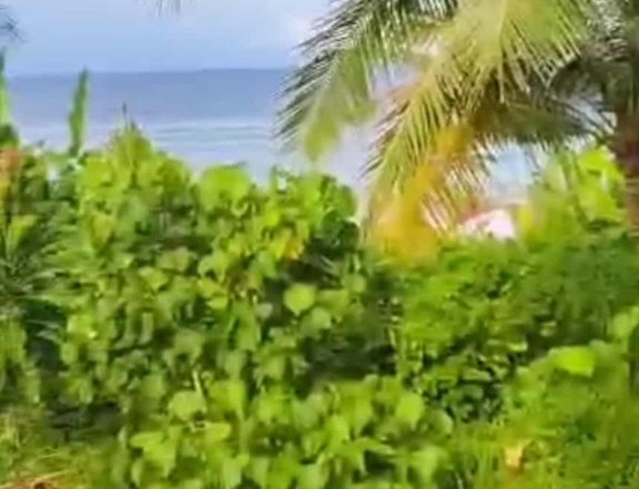 SEA VIEW COMMERCIAL LAND FOR SALE