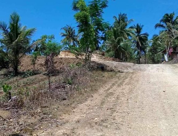 Residential Lot in Cortes Bohol