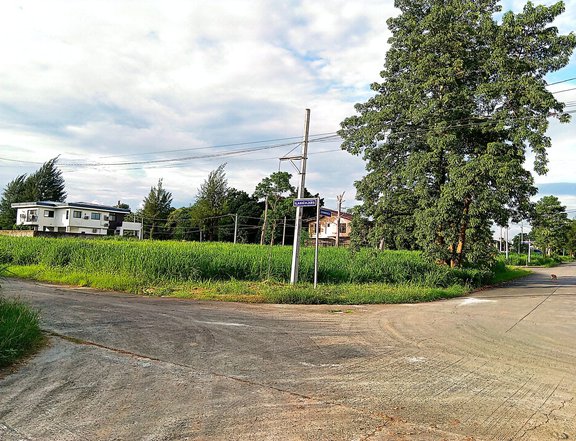12 FLOOD-FREE RESIDENTIAL VACANT LOTS, PRE-OWNED PRIME CONTIGUOUS LOTS IN GENEVA GARDENS QUEZON CITY
