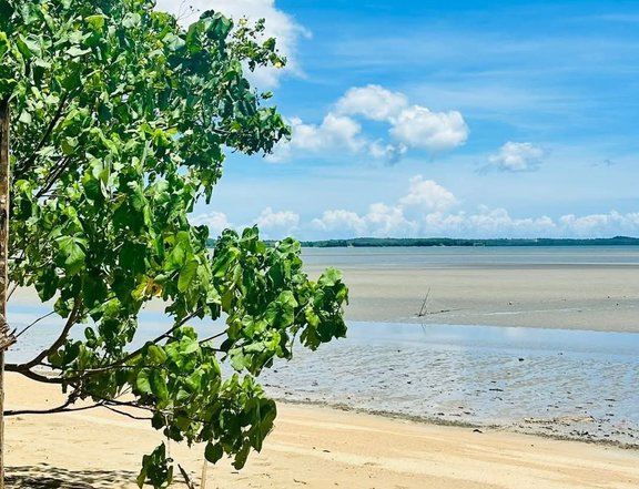 Pre selling Beach lot for sale
