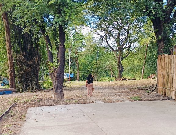 154 sqm Residential Farm For Sale in Antipolo Rizal