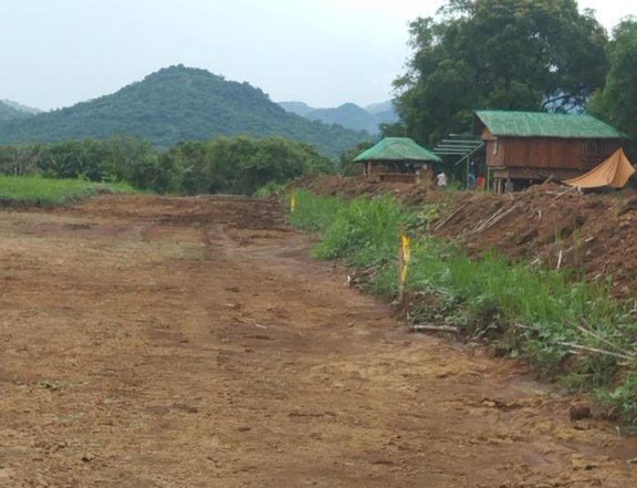 1000 sqm minimum lot cut Subdivided farmlot 1300 per sqm t for lot Nasugbu batangas