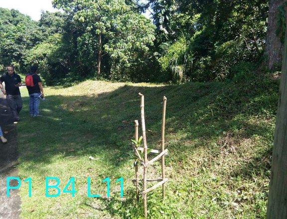 1,013 sqm Residential Farm For Sale in Leisure Farms Lemery Batangas