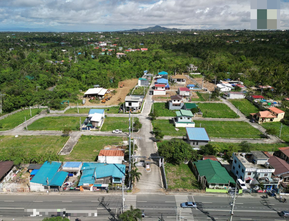 100 sqm Residential Lot For Sale in Amadeo, Cavite