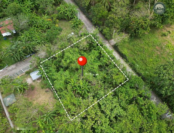 543 sqm Residential Farm For Sale in Alfonso Cavite