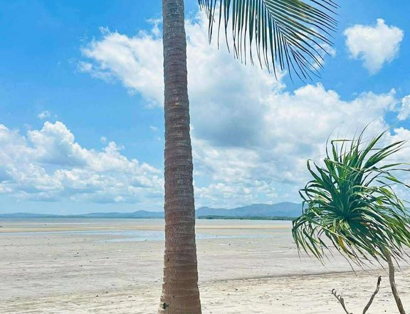 Subdivided Beach lot for sale in Calauag Quezon
