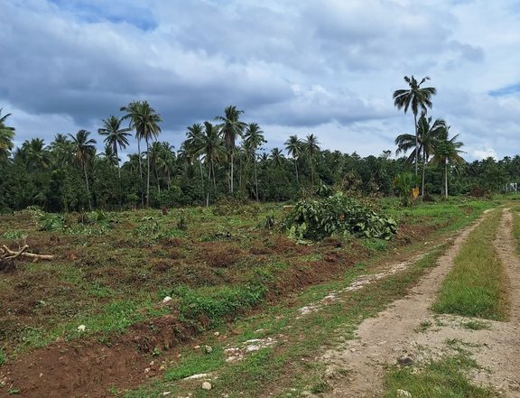 100 sq.m. Raw Land for Sale in Kidapawan City, COTABATO