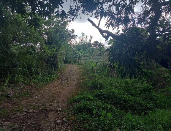 Residential Lot in Windmill Pililla Rizal
