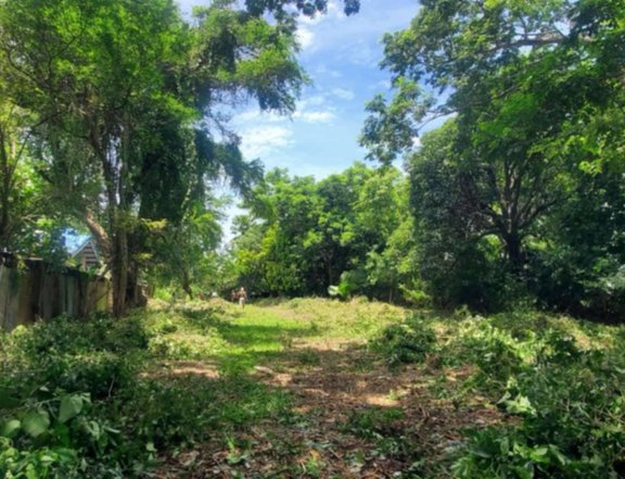 1903 sqm residential/commercial Lot for sale in Iguig Cagayan