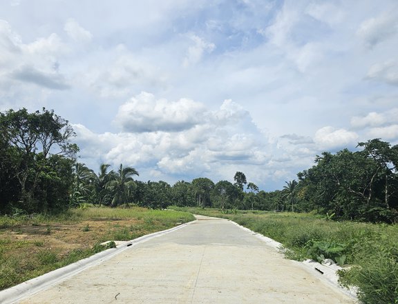 Amadeo Lot For Sale  along Crisanto Road