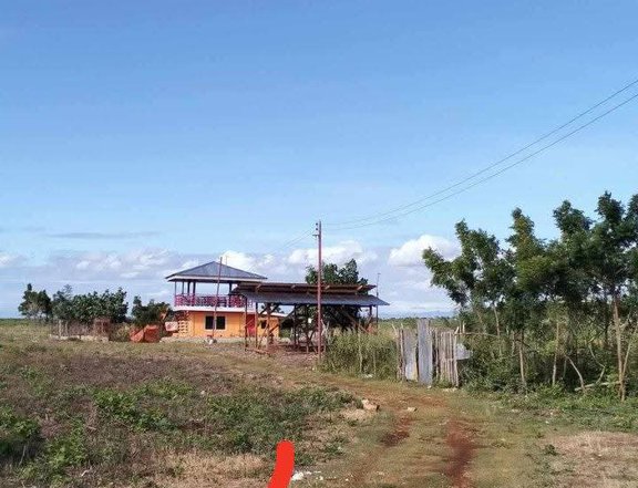 HOUSE & LOT FOR SALE AT OLANGO ISLAND LAPU-LAPU CEBU 1.5M