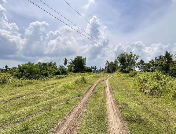 100 sqm Residential Lot For Sale in Barili Cebu