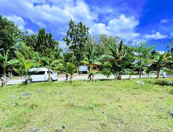 100 sqm Residential Lot For Sale in Badian Cebu