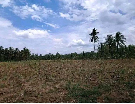 5 hectares FARM LOT for sale