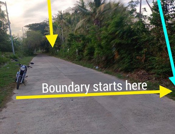 1,791 sqm Residential Farm For Sale in Zamboanguita Negros Oriental