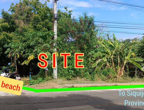 260 sqm Commercial Lot For Sale in San Juan Siquijor